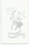 Wedding - Christening Cake Bags - Silver Doves x 100 Bulk Pack